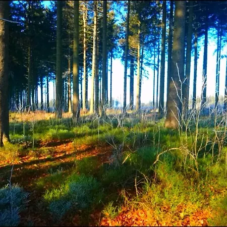 Gaestehaus Kuck مونشاو