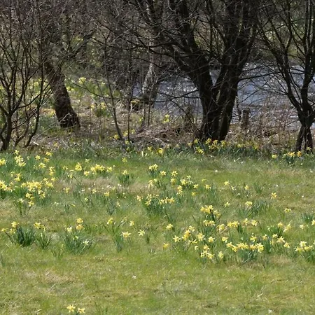 Gaestehaus Kuck بيت ضيافة 4*