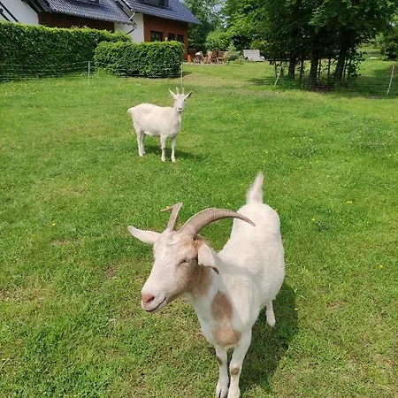 بيت ضيافة Gaestehaus Kuck مونشاو