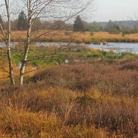 Gaestehaus Kuck Pensionat 4*