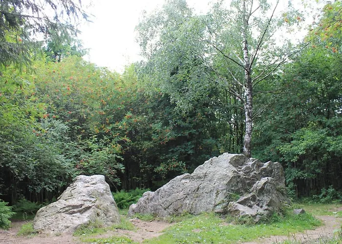 招待所 Gaestehaus Kuck 4*