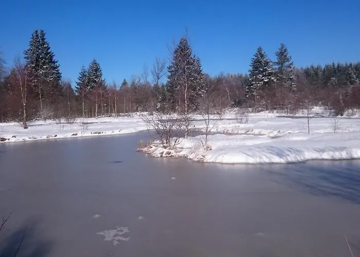 Gaestehaus Kuck 招待所