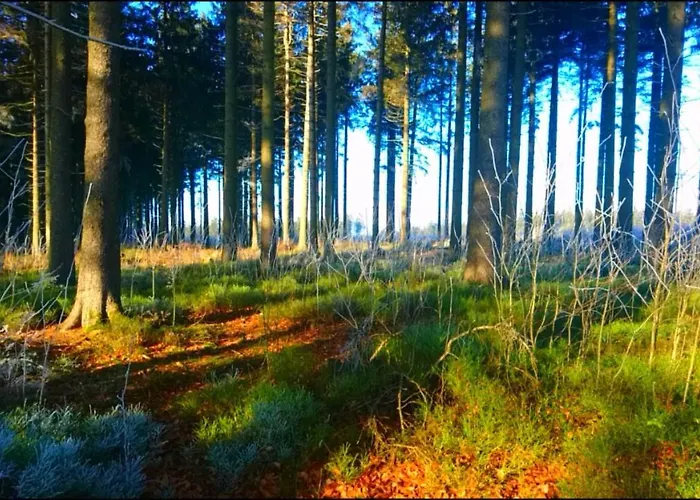 Gaestehaus Kuck 蒙绍