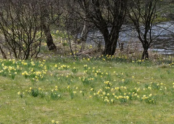 Gaestehaus Kuck Maison d'hôtes 4*