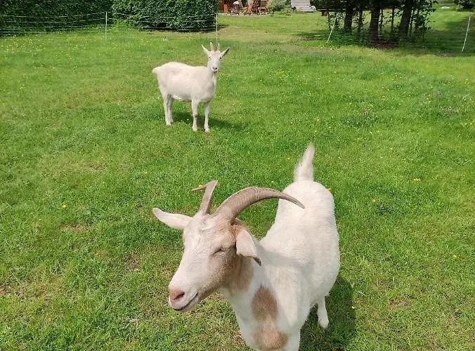 招待所 Gaestehaus Kuck 蒙绍