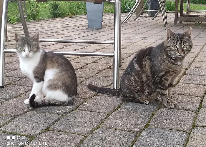 Gaestehaus Kuck Maison d'hôtes