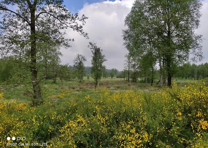 招待所 Gaestehaus Kuck 4*