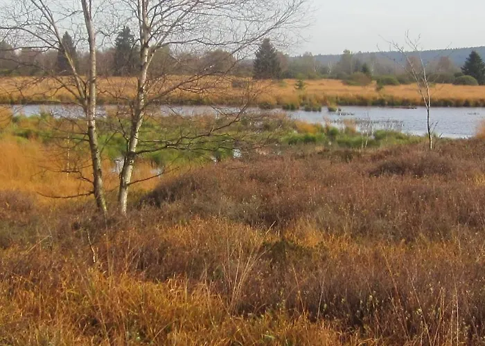 Gaestehaus Kuck 招待所 4*